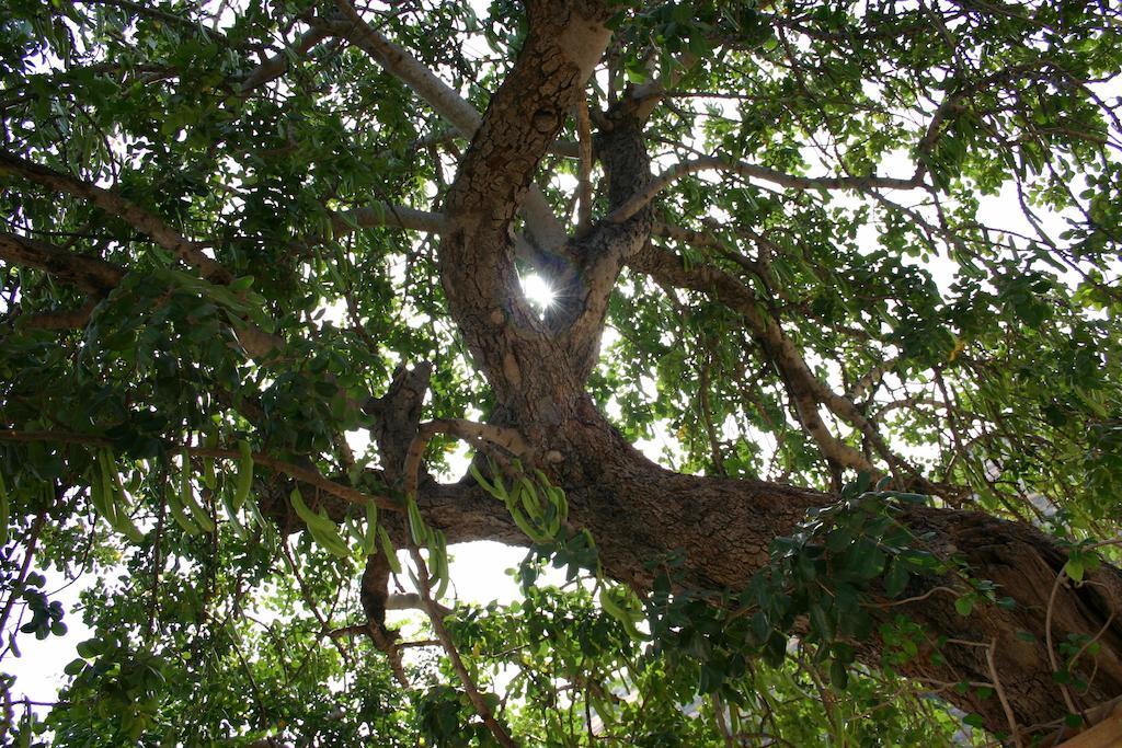 مبيت وإفطار نوتو La Suma Sumalia المظهر الخارجي الصورة